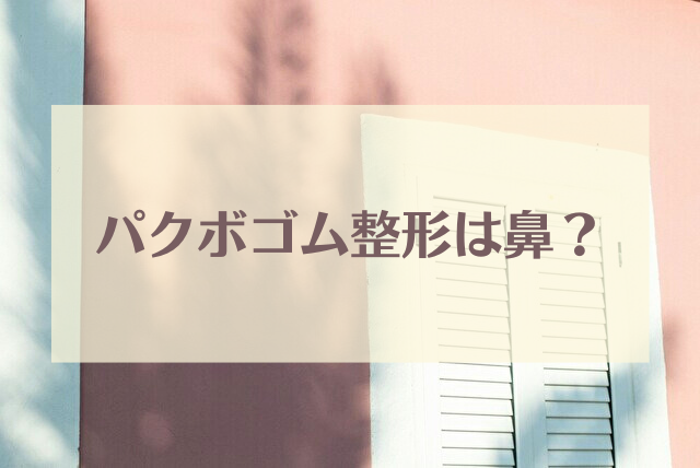 パクボゴム　整形