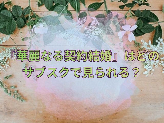 華麗なる契約結婚　最終回