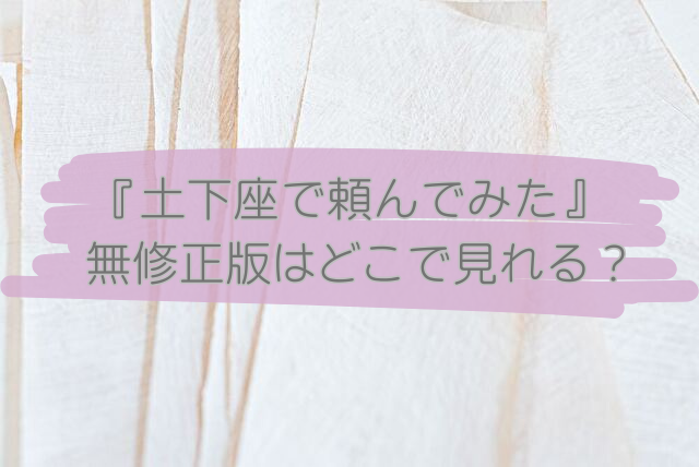 土下座で頼んでみた　無修正版