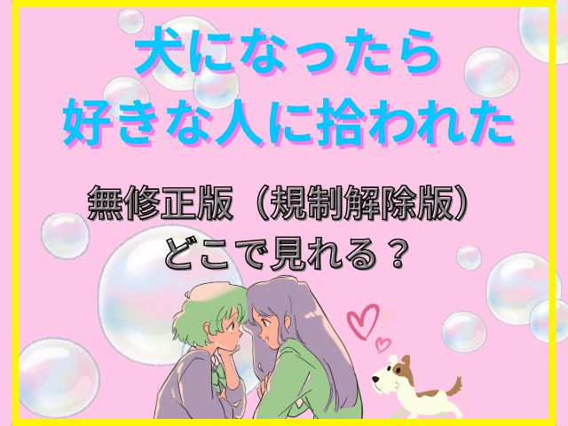 犬になったら好きな人に拾われた　無修正版　どこで見れる　