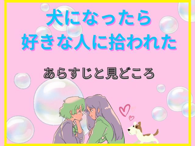犬になったら好きな人に拾われた　無修正版　どこで見れる　