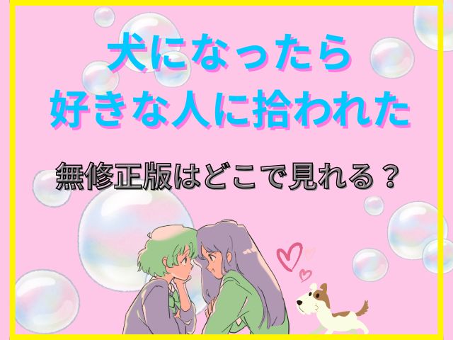 犬になったら好きな人に拾われた　無修正版　どこで見れる　