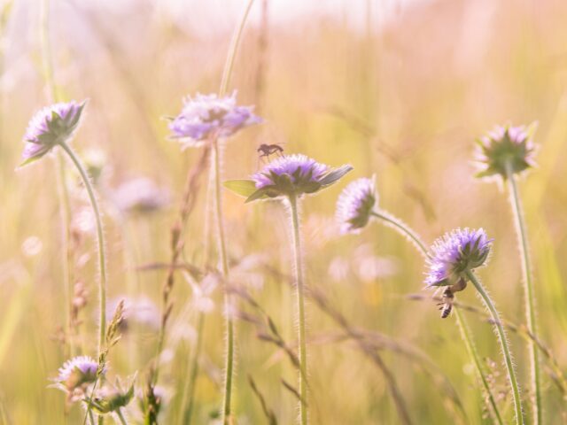 私が死ぬ一週間前 最終回