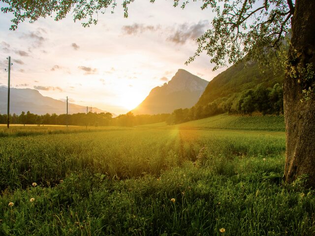 私の開放日誌　合わない
