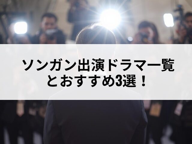 ソンガン　出演　ドラマ